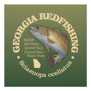 Georgia (redfish) poster