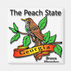 Georgia The Peach State Brown Thrasher Magnet
