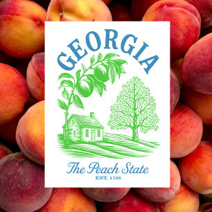 Georgia The Peach State Est. 1788 Farmhouse Postcard