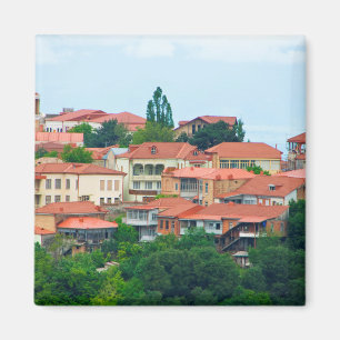 Georgia Town Landscape Magnet