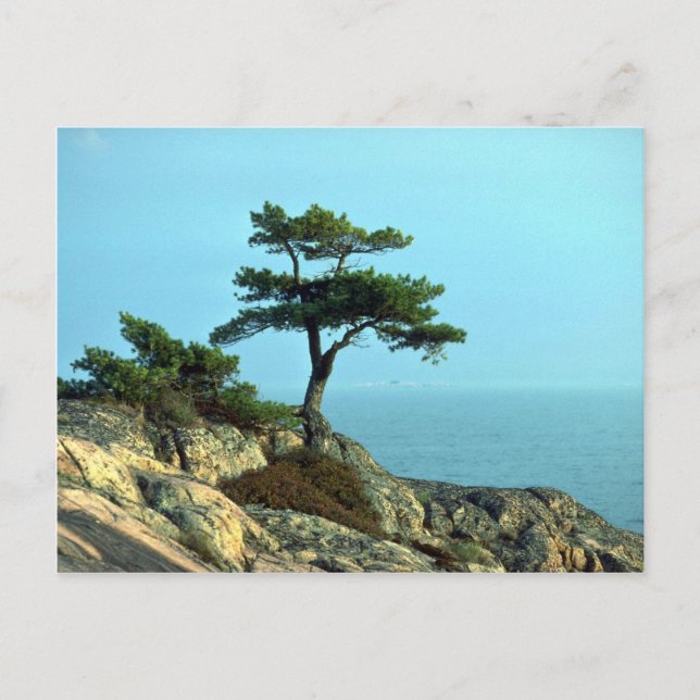 Georgian Bay Shoreline, Lake Huron, Ontario, Canad Postcard (Front)