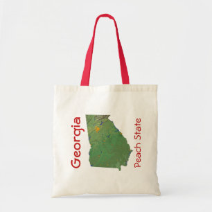 Georgian Map Bag
