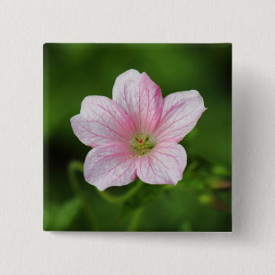 Geranium 15 Cm Square Badge