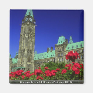 Geranium beds in full bloom on Parliament Hill, Ot Magnet