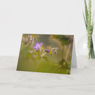 Geranium Blossom Flower Nature Photo Card