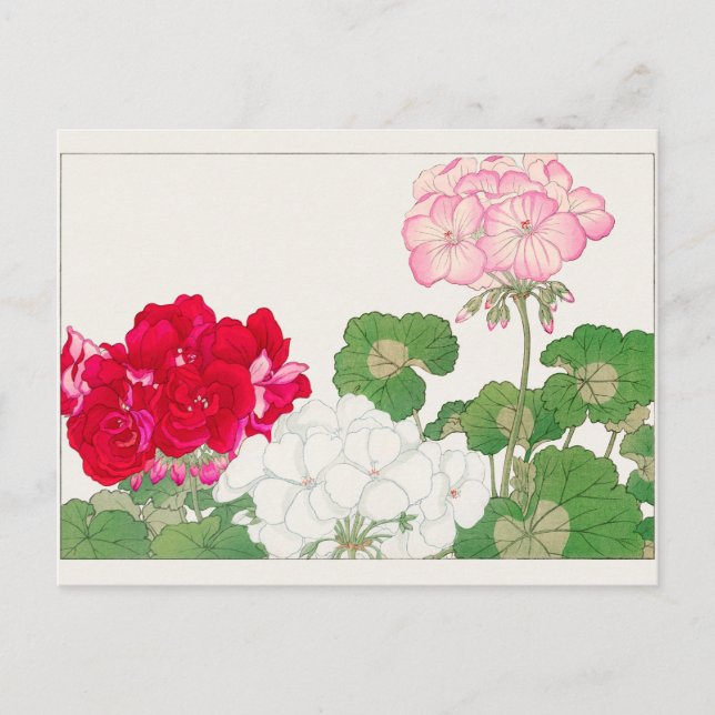 Geranium by Tanigami Konan Postcard (Front)