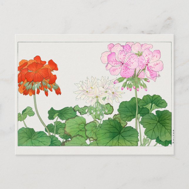 Geranium by Tanigami Konan Postcard (Front)