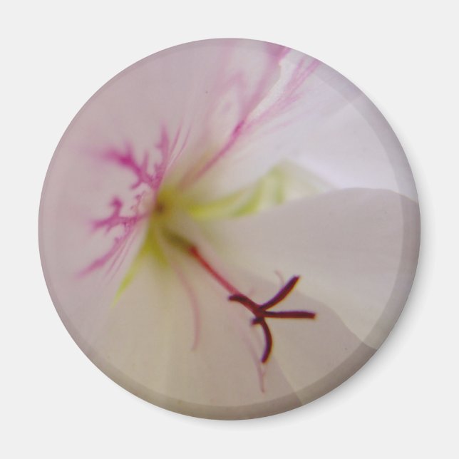 Geranium Centre Magnet (Front)