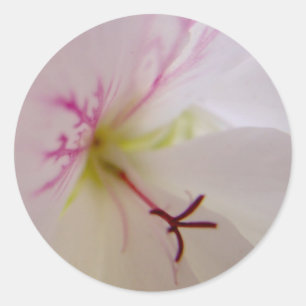 Geranium Centre Stickers