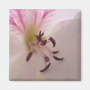 Geranium Detail Magnet