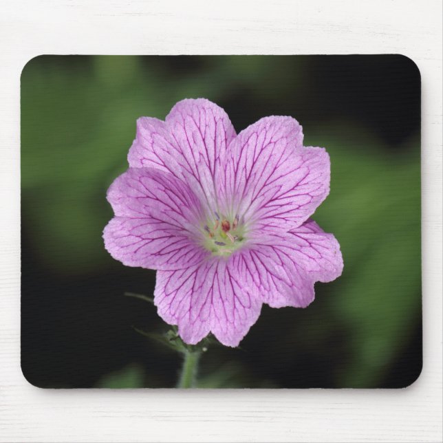 Geranium Endressii Mouse Pad (Front)