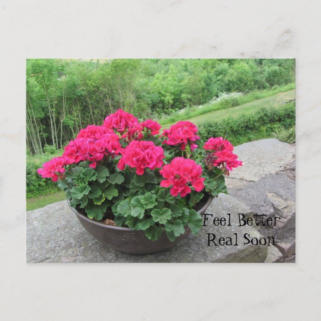 Geranium - Feel Better Soon Postcard (Front)