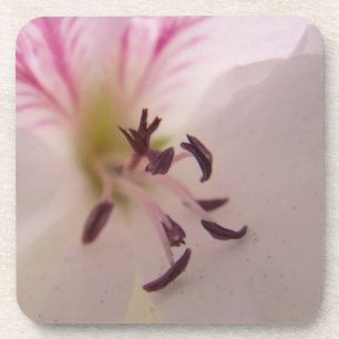 Geranium Flower Coasters