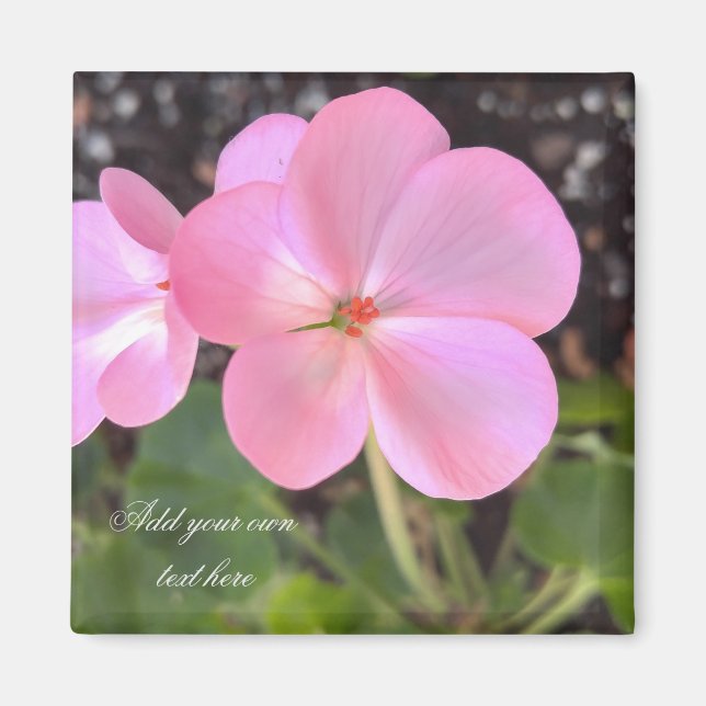 Geranium flower magnet add text you like (Front)