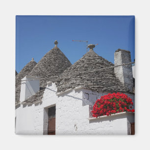 Geranium flowers and trulli houses in Alberobello Magnet