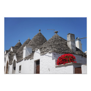 Geranium flowers and trulli houses in Alberobello Photo Print