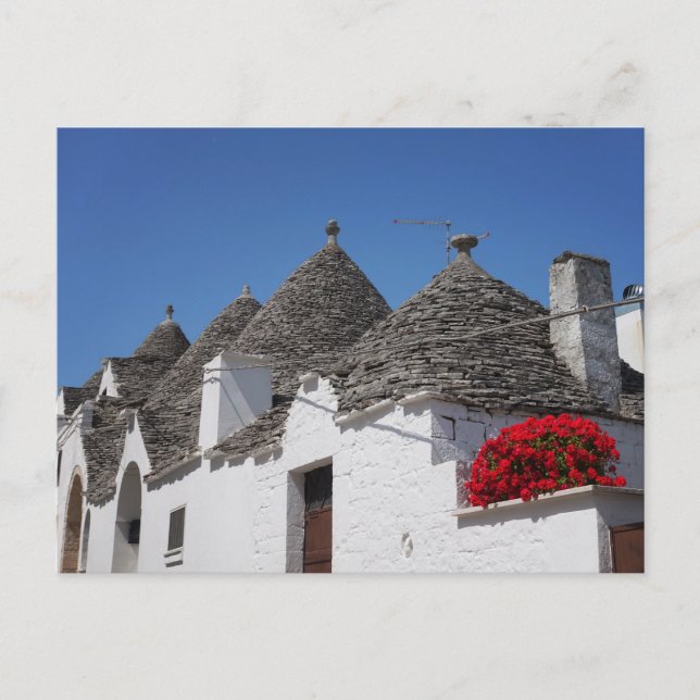 Geranium flowers and trulli houses in Alberobello Postcard (Front)