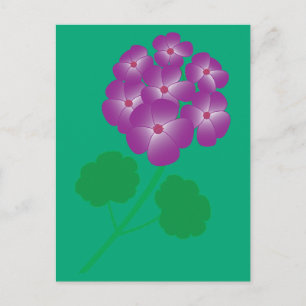 Geranium Flowers Postcard