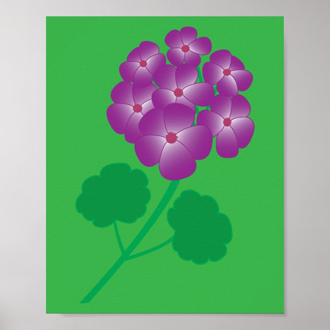 Geranium Flowers Poster (Front)