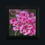 geranium gift box<br><div class="desc">geranium in the garden</div>