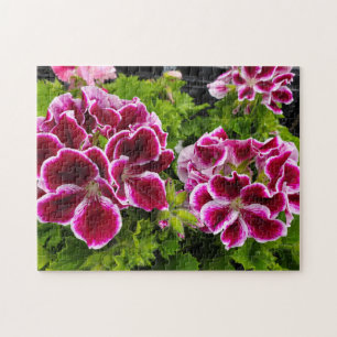Geranium jigsaw puzzle