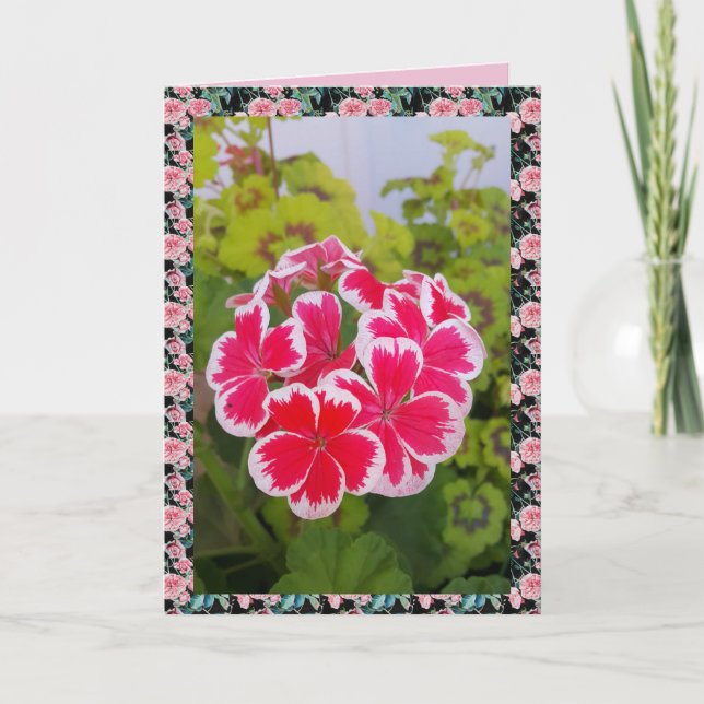 Geranium Pelargonium Flower Garden floral Card (Front)
