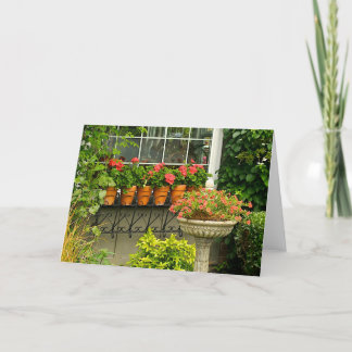 Geranium Pots Greeting Card