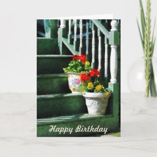 Geraniums and Pansies on Steps - Birthday Card