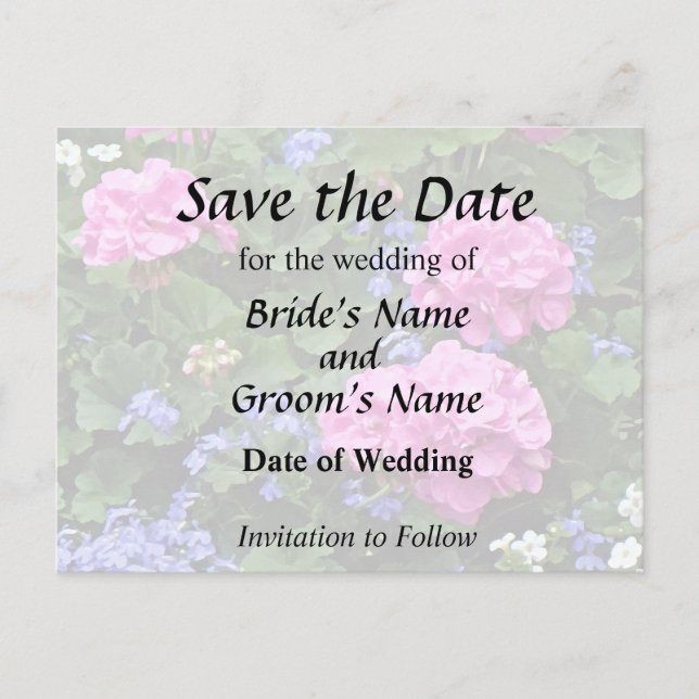 Geraniums and Periwinkle Announcement Postcard (Front)