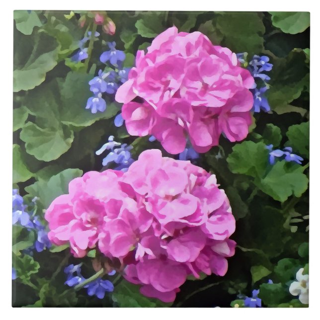 Geraniums and Periwinkle Ceramic Tile (Front)