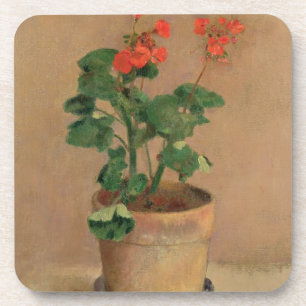 Geraniums in a Pot, c.1905 (oil on canvas) Coaster