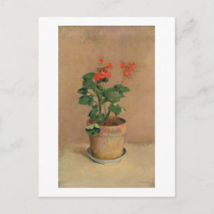 Geraniums in a Pot, c.1905 (oil on canvas) Postcard
