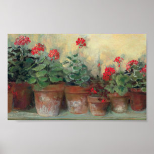 Geraniums in Pots Poster
