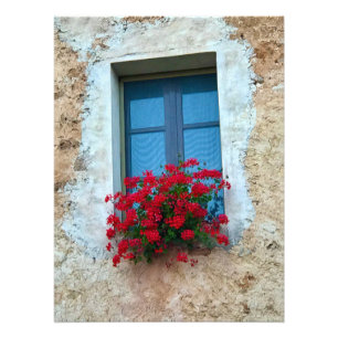 Geraniums in the Window in Tuscany Photo Print