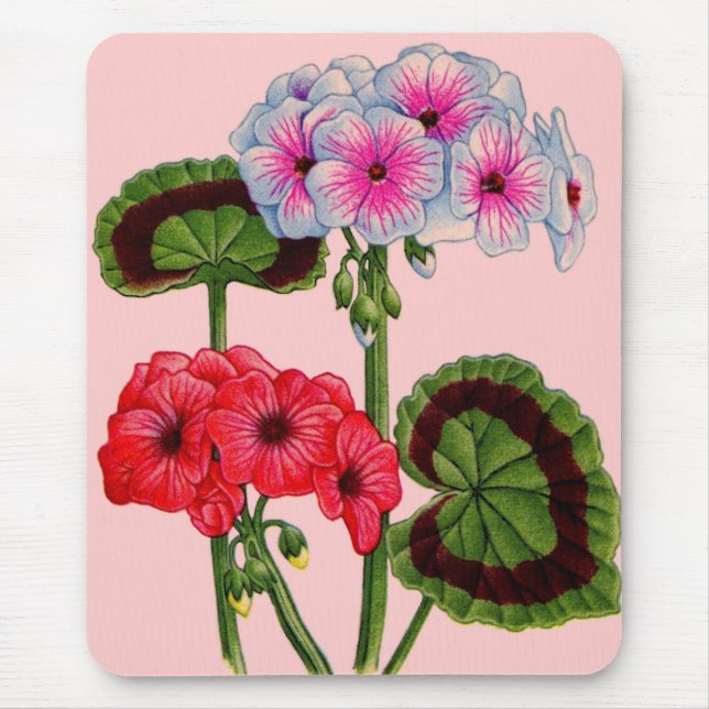 geraniums mouse pad (Front)