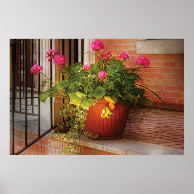 Geraniums - One fine sunny day Poster (Front)