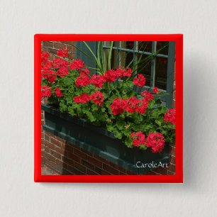 Geraniums Red Green Window Box 15 Cm Square Badge