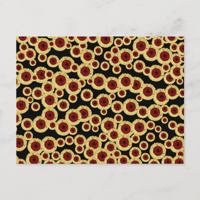 Gerber Daisies Postcard (Front)