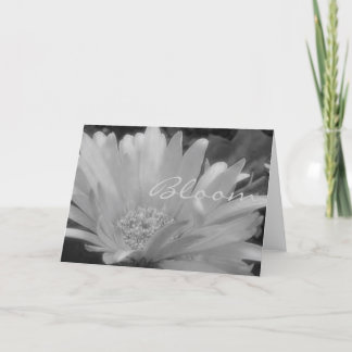 Gerber Daisy Bloom Card