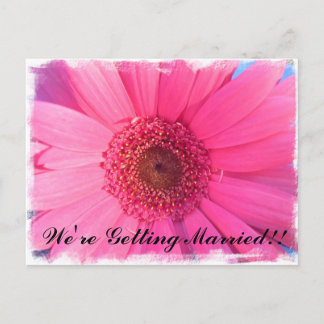 Gerber Daisy Invitation Postcard