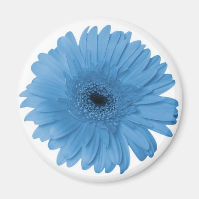 Gerber Daisy Magnet (Front)