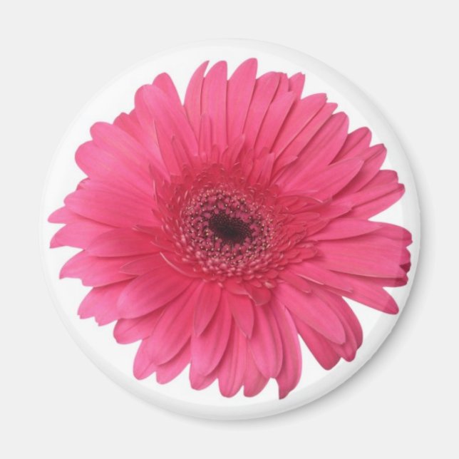 Gerber Daisy Magnet (Front)
