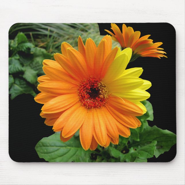 GERBER DAISY-MOUSEPAD MOUSE PAD (Front)