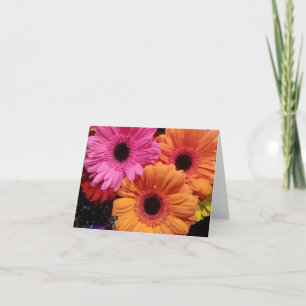 Gerber daisy orange pink flower notecard