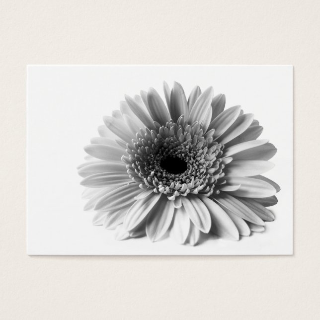 Gerbera (Front)