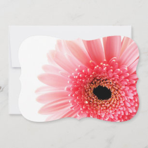 Gerbera Card