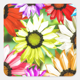 Gerbera colourful flower floral square sticker