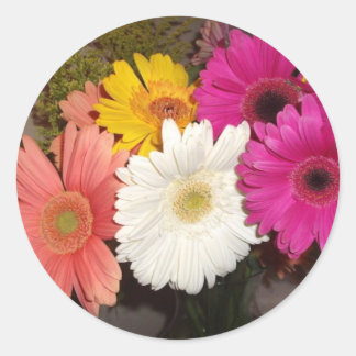 Gerbera Daisies 017 Classic Round Sticker