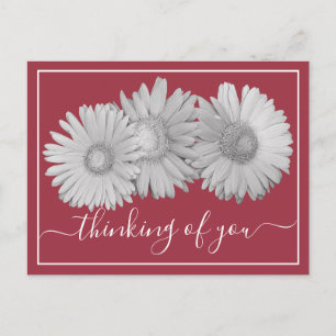 Gerbera Daisies Blush Background Thinking Of You Postcard