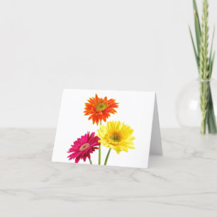 Gerbera Daisies Card